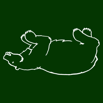 Just the bear green bg