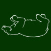 Just the bear green bg